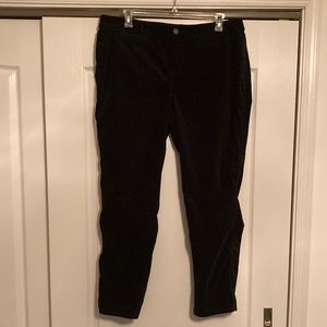 Coldwater Creek Velveeteen Jeans EUC